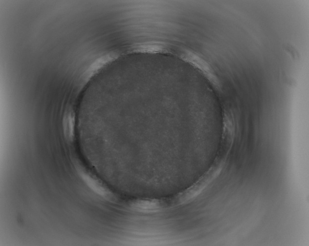 X0000113260110200910081347