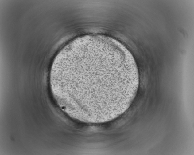 X0000113260111200910081347