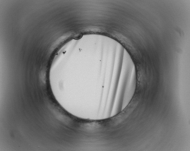 X0000113260112200910081347