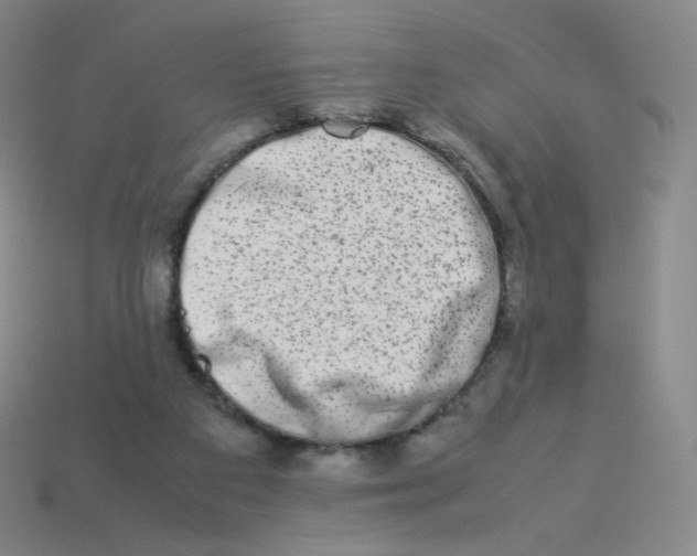 X0000113260113200910081347