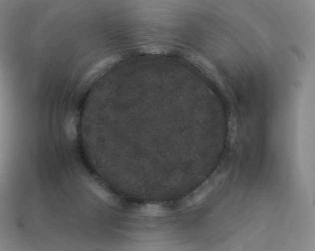 X0000113260114200910081347