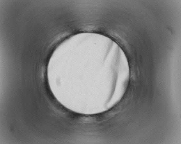 X0000113260115200910081347