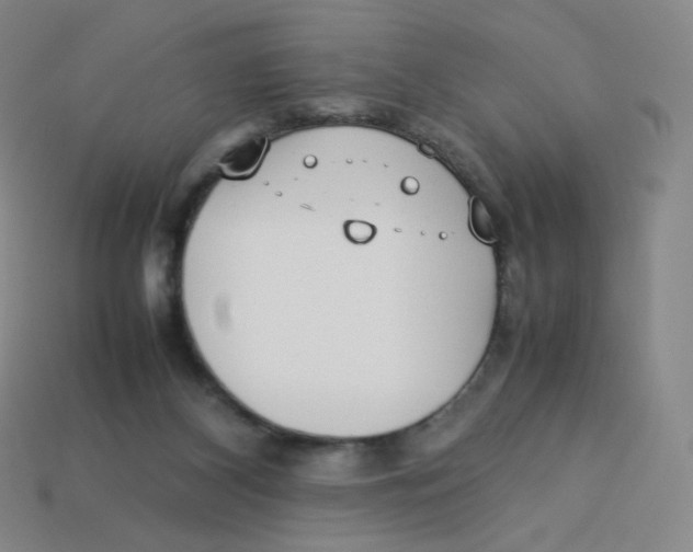 X0000113260116200910081347