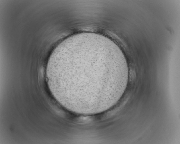 X0000113260117200910081347