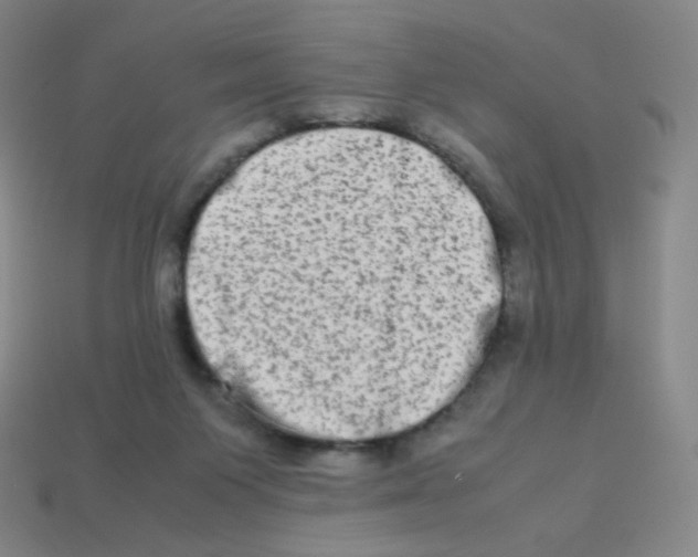 X0000113260119200910081347
