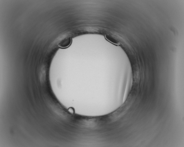 X0000113260120200910081347