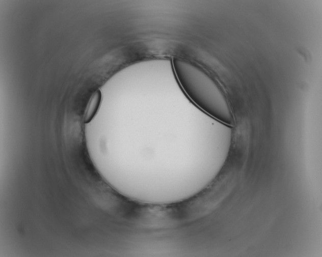 X0000113260121200910081347