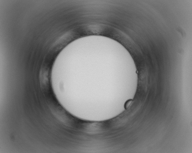 X0000113260122200910081347