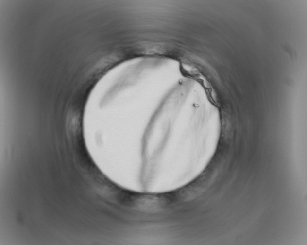 X0000113260123200910081347