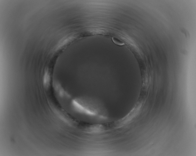 X0000113260124200910081347