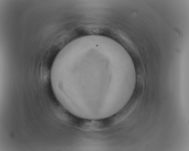 X0000113260125200910081347