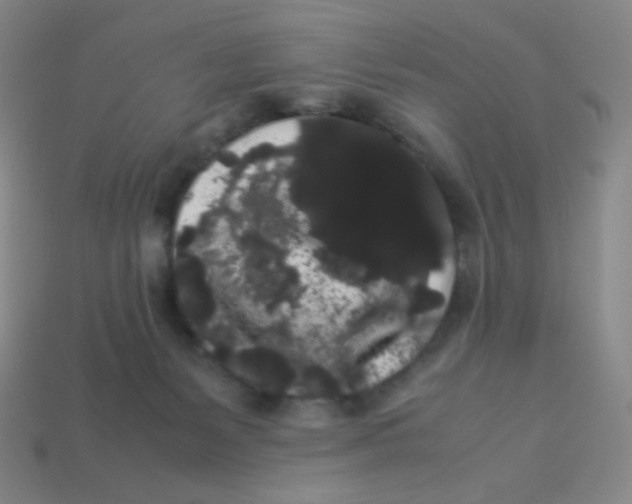 X0000113260127200910081347