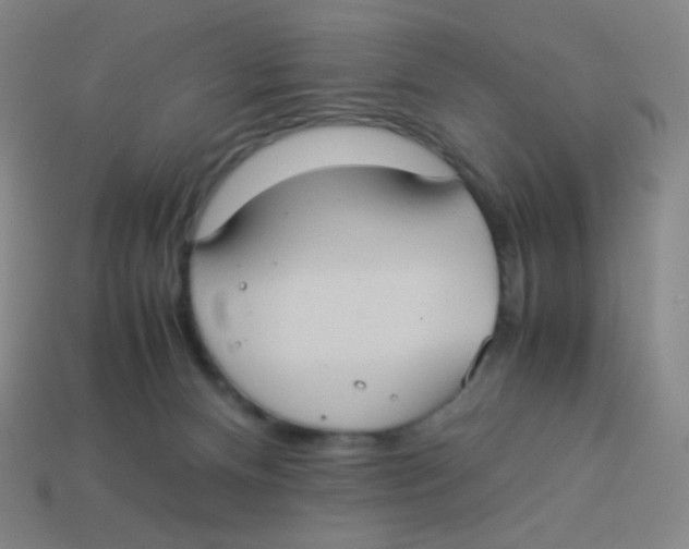 X0000113260128200910081347