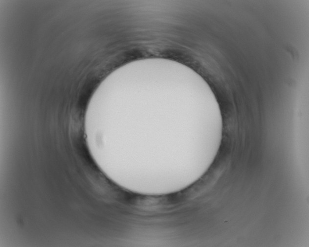 X0000113260129200910081347