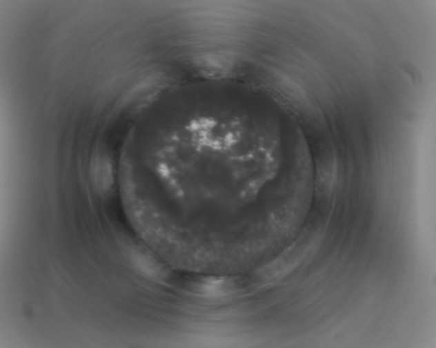 X0000113260130200910081347