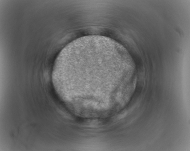 X0000113260131200910081347