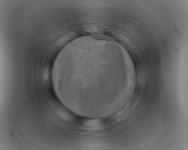 X0000113260132200910081347