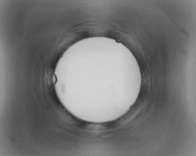 X0000113260133200910081347