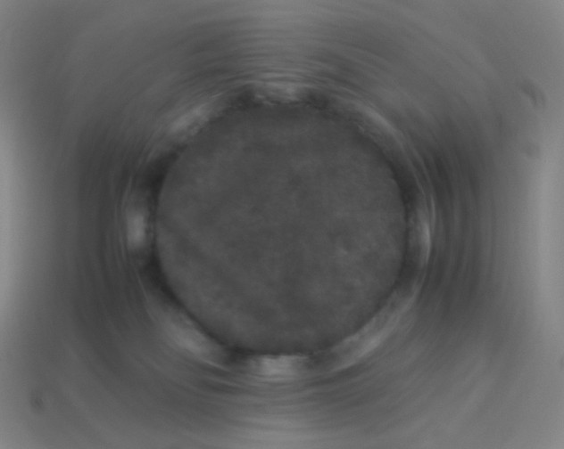 X0000113260134200910081347