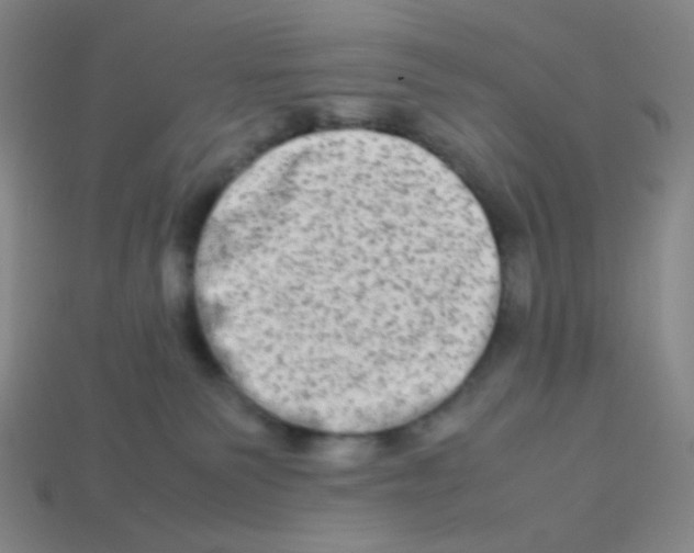 X0000113260135200910081347