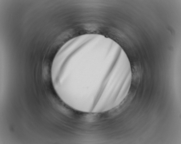 X0000113260136200910081347
