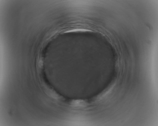 X0000113260137200910081347