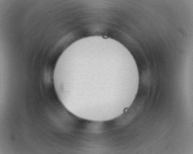 X0000113260138200910081347