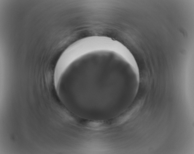 X0000113260139200910081347