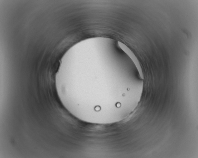 X0000113260140200910081347