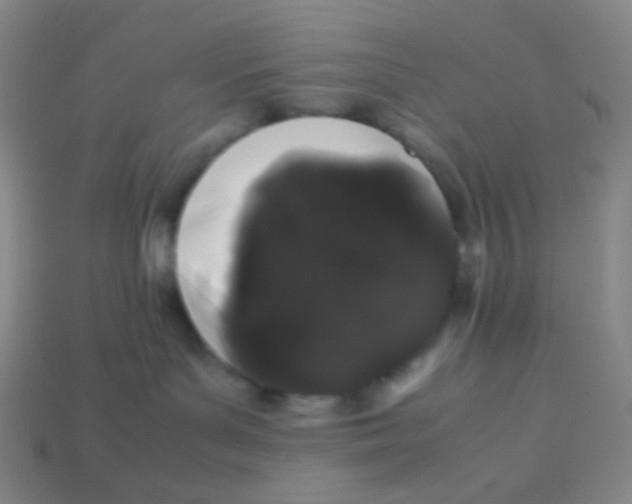 X0000113260143200910081347