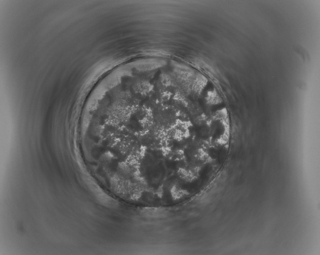 X0000113260145200910081346