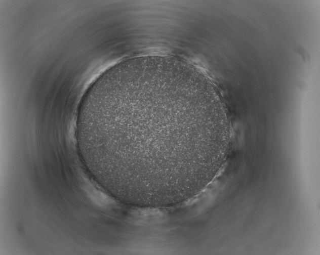 X0000113260146200910081346