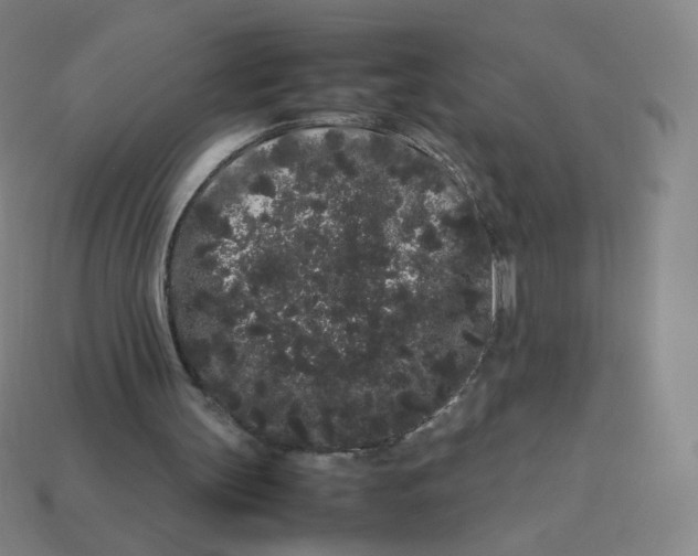 X0000113260147200910081346