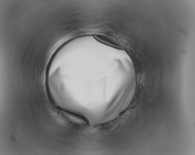 X0000113260148200910081346