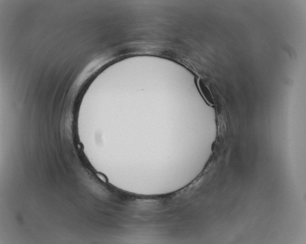 X0000113260150200910081346
