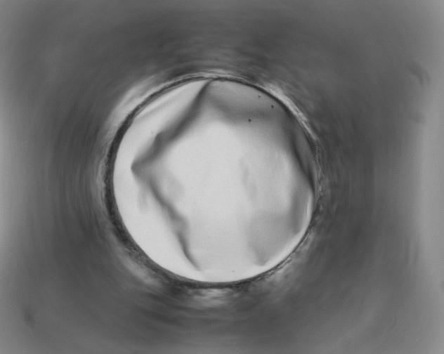 X0000113260151200910081346