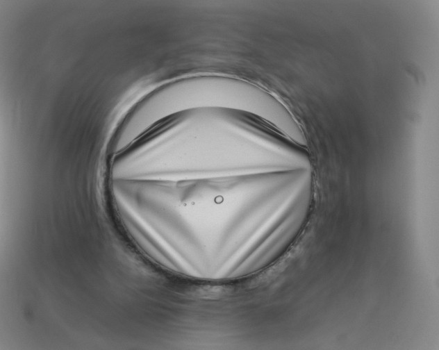 X0000113260152200910081346