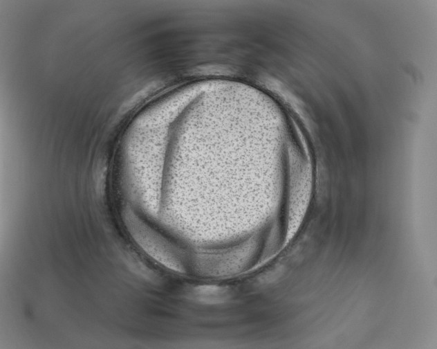 X0000113260153200910081346