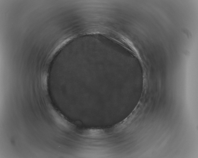 X0000113260154200910081346