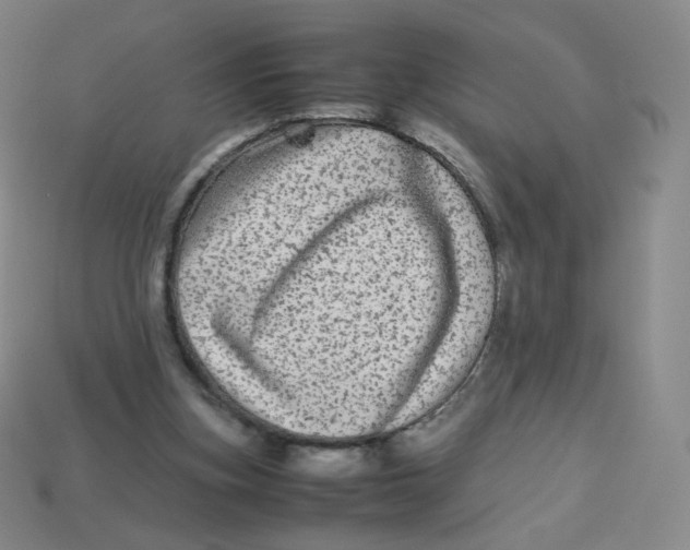 X0000113260155200910081347