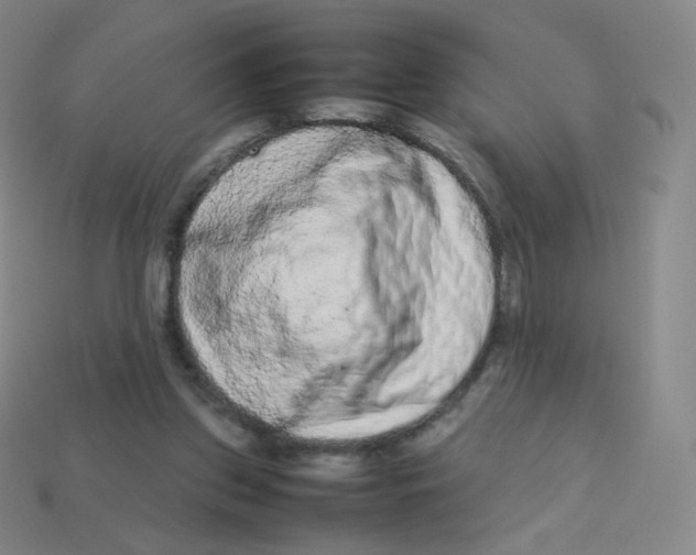 X0000113260157200910081347