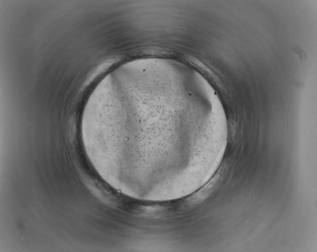 X0000113260158200910081347