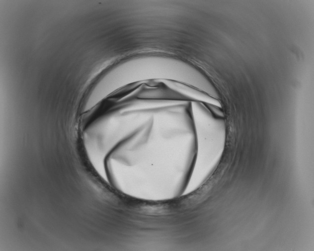 X0000113260160200910081347