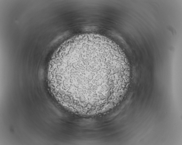 X0000113260161200910081347