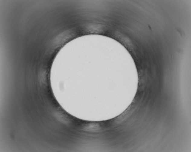 X0000113260162200910081347