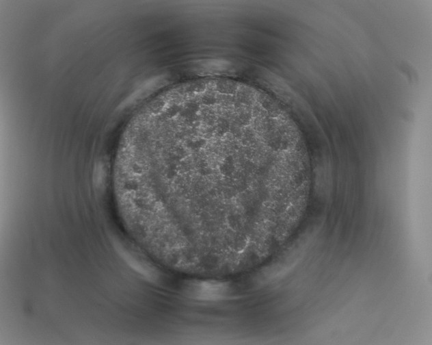 X0000113260165200910081347