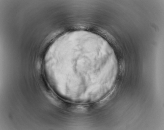 X0000113260166200910081347