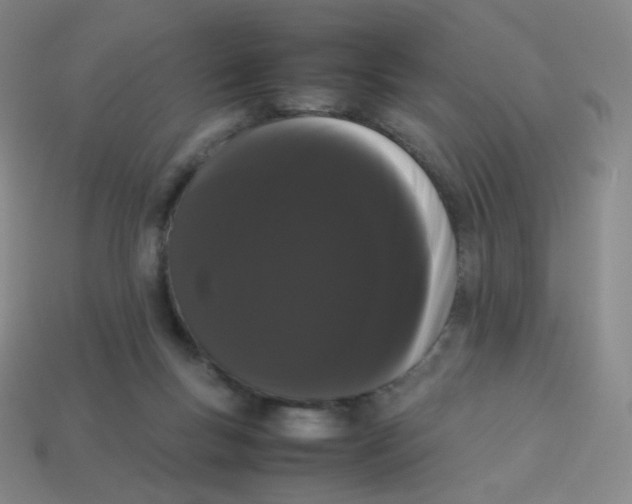 X0000113260167200910081347