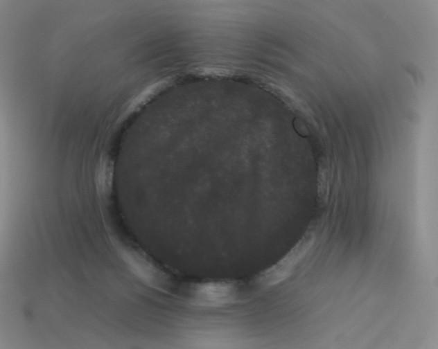 X0000113260168200910081347