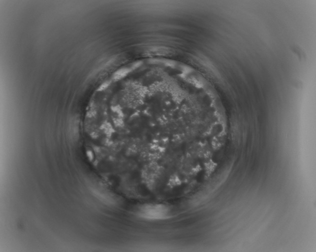 X0000113260169200910081347